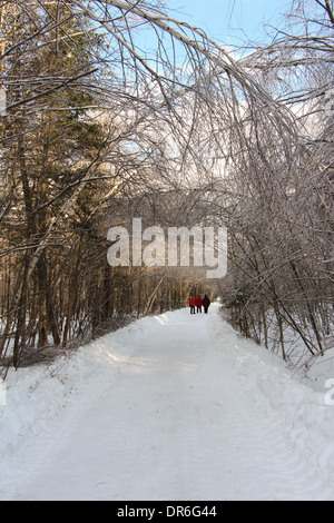 Locals walking down a wooded road during the Ice storm in Valcourt, Quebec Stock Photo