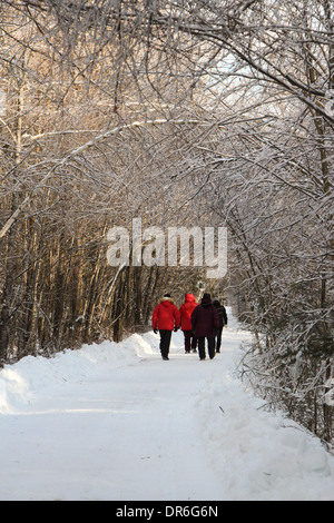 Locals walking down a wooded road during the Ice storm in Valcourt, Quebec Stock Photo