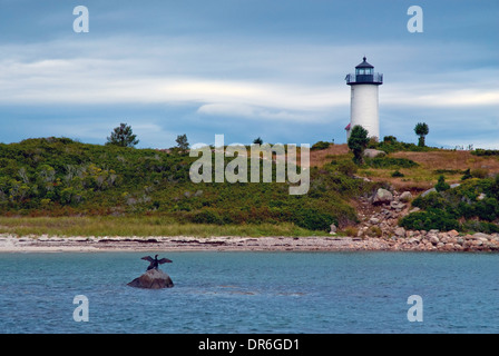 Cormorants dry their wings in front of Tarpaulin Cove lighthouse in Massachusetts. Stock Photo