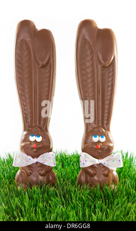 Two chocolate bunnies with polka dot bow ties in grass on white background Stock Photo