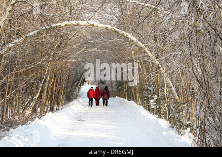 Locals walking down a wooded road during the Ice storm in Valcourt, Quebec Stock Photo