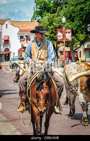 Cattle drive, Stockyards Historic District, Fort Worth, Texas Stock Photo