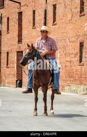 Cattle drive, Stockyards Historic District, Fort Worth, Texas Stock Photo