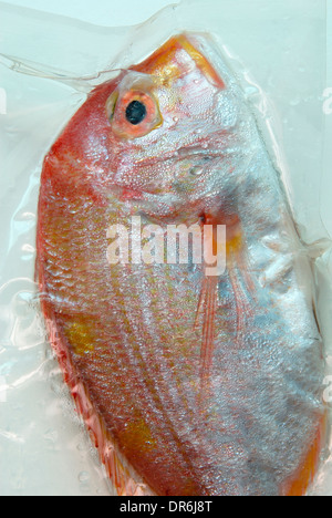 Vacuum packed fish Stock Photo