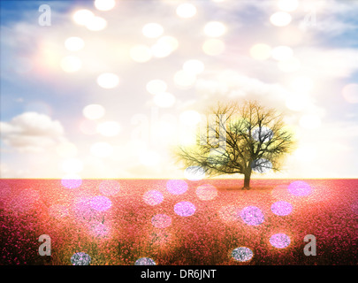 a pretty image of a tree in a pink flowery field Stock Photo