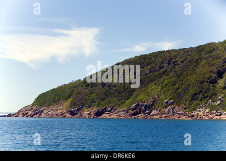 cabbage palm island, port stephens,new south wales,australia Stock Photo