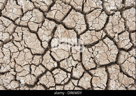 Dry soil texture of a barren land Stock Photo