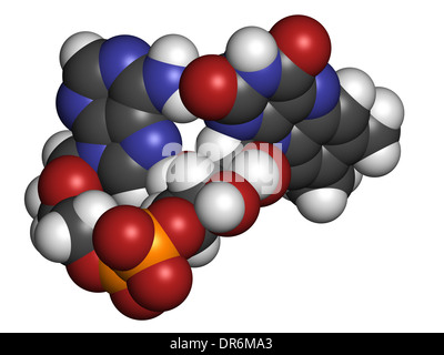 Flavin adenine dinucleotide (FAD) redox coenzyme molecule. Atoms are represented as spheres with conventional color coding Stock Photo