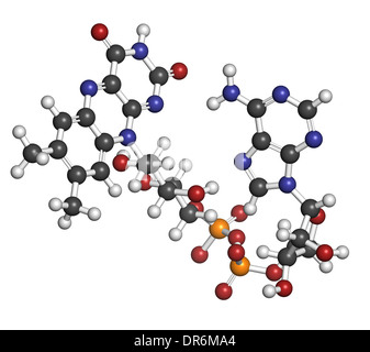 Flavin adenine dinucleotide (FAD) redox coenzyme molecule. Atoms are represented as spheres with conventional color coding Stock Photo