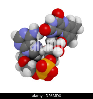 Flavin adenine dinucleotide (FAD) redox coenzyme molecule. Atoms are represented as spheres with conventional color coding Stock Photo