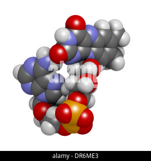 Flavin adenine dinucleotide (FAD) redox coenzyme molecule. Atoms are represented as spheres with conventional color coding Stock Photo