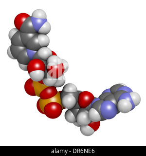Nicotinamide adenine dinucleotide (NAD+) coenzyme molecule. Important coenzyme in many redox reactions. Stock Photo
