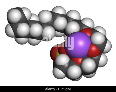 Sodium laureth sulphate detergent molecule. Used in cosmetics, soaps, shampoos, etc. Stock Photo