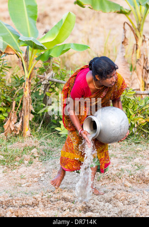 A Subsistence farmer watering her vegetable garden by hand, in the Sunderbans, Ganges, Delta, India, the area is very low lying Stock Photo