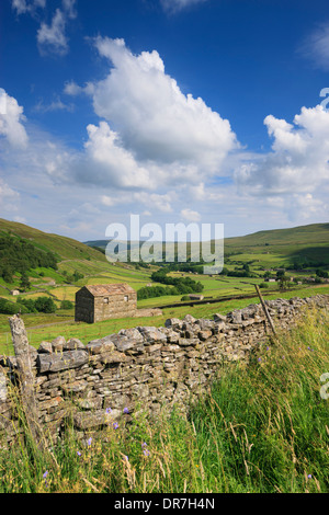Stone barns near Thwaite in Upper Swaledale in the Yorkshire Dales National Park Muker Richmondshire North Yorkshire England