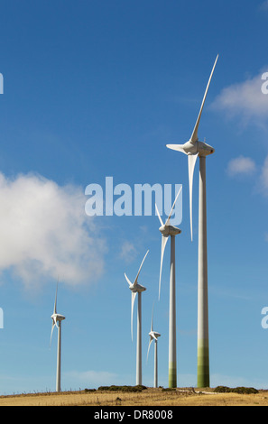 Windmills on a wind farm near Zahara de los Atunes, Cádiz province, Andalucía, Spain Stock Photo
