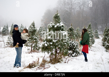 Young Family Choosing their Christmas Tree on a You Cut Christmas Tree Farm in Southern Indiana Stock Photo