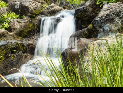 A waterfall cascading down lava rock into a shallow pool surrounded by tropical vegetation Stock Photo