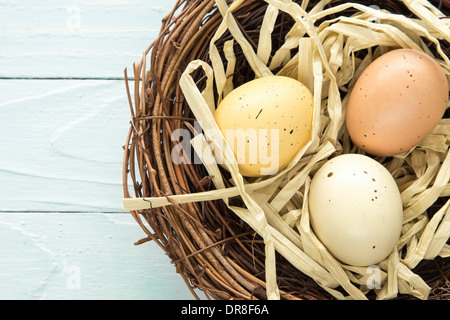 Three colored, spotted eggs in a nest Stock Photo