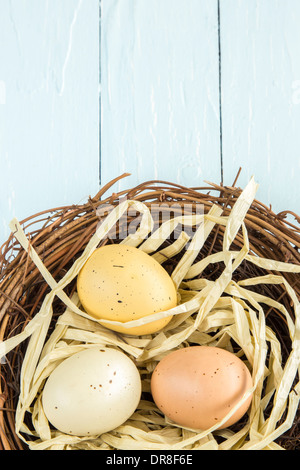 Three colored, spotted eggs in a nest Stock Photo