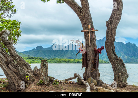 Hawaiian tree memorial honoring the loss of loved ones Stock Photo