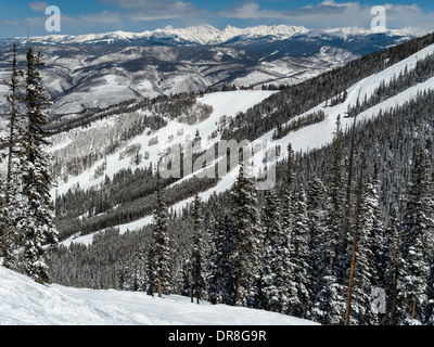 Gore Range and ski trails from the top of the Grouse Mountain Express Lift, Beaver Creek Resort Ski, Avon, Colorado. Stock Photo