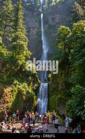 COLUMBIA RIVER GORGE, OREGON, USA - Tourists on bridge at Multnomah Falls. Stock Photo