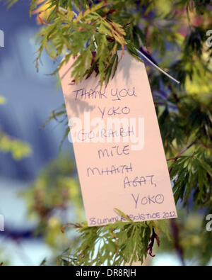 Atmosphere Yoko Ono visits her interactive art installation entitled 'Wish Tree For Ireland' created on behalf of the Make A Wish Foundation Dublin, Ireland - 21.06.12 Stock Photo