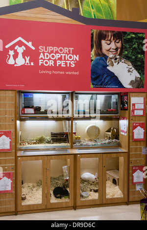 Pets at home 2024 pets for adoption