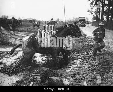 Pilkem Ridge 1917 Stock Photo - Alamy