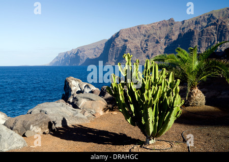 Los Gigantes cliffs from Puerto De Santiago, Tenerife, Canary Islands, Spain. Stock Photo