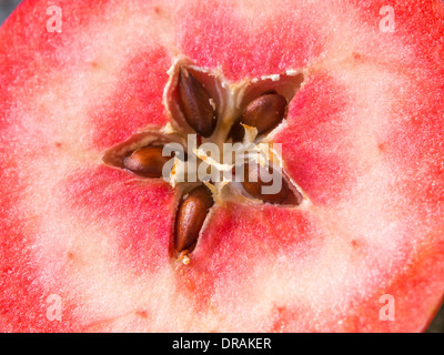 Sliced open 'Redlove' apple, exposing its red interior. Stock Photo