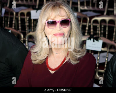 Paris, France. 22nd Jan, 2014. French singer and actress Amanda Lear attends the presentation of Jean Paul Gaultier spring/summer 2014 collection during the Paris Haute Couture fashion week, in Paris, France, 22 January 2014. Paris Haute Couture fashion shows run until 22 January 2014. Photo: Hendrik Ballhausen - NO WIRE SERVICE/dpa/Alamy Live News Stock Photo