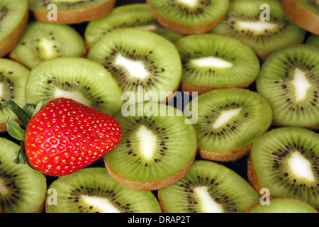 Single, out of place red strawberry on top of a bunch of green sliced kiwi fruit. Stock Photo