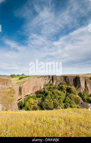 Northern California spring wildflowers and waterfall Stock Photo