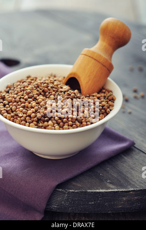 Coriander seeds in ceramic bowl closeup. Selective focus. Stock Photo