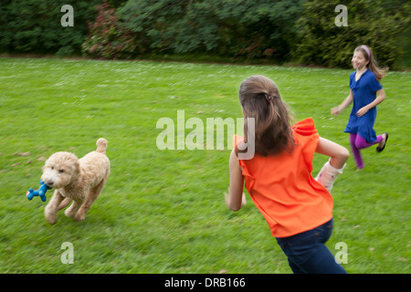 Girls playing with pet dog on grass field Stock Photo