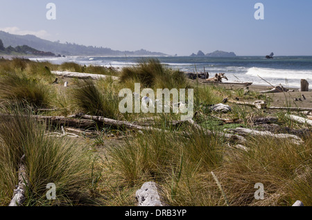 Drift wood scattered among beach grass on the beach with Pacific Ocean.  Brookings, Oregon Stock Photo