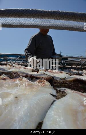 Fish Fillet Racks Fish fillets on racks in a fish smoker Stock Photo - Alamy