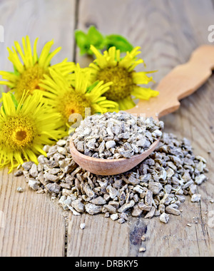 Wooden spoon with elecampane root, fresh yellow flowers elecampane on a wooden board Stock Photo