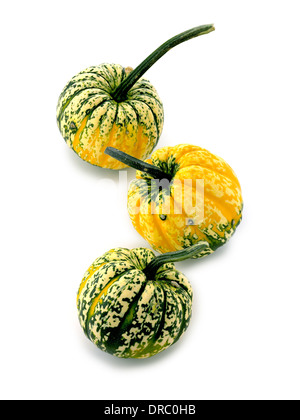 pumpkin and squash Stock Photo