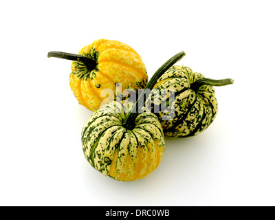 pumpkin and squash Stock Photo