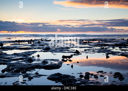 Sumberged, petrified ancient forest on the beach at Borth, Ceredigion, further revealed by the January storms of 2014. Stock Photo