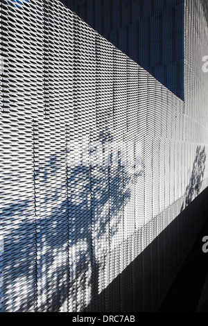 Plants casting shadow on textured wall of modern building Stock Photo