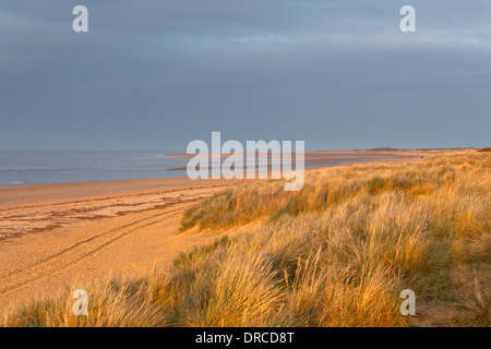 Old Hunstanton beach and dunes in warm evening light, North Norfolk Stock Photo