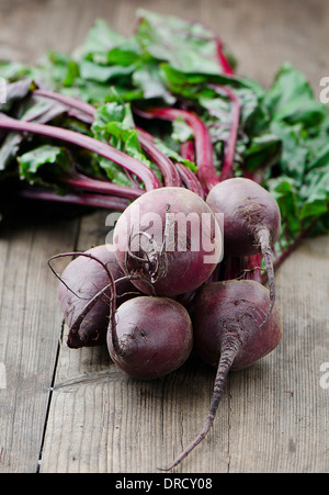 A freshly picked bunch of beetroot Stock Photo