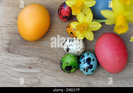 easter eggs painted and daffodils on wooden background Stock Photo