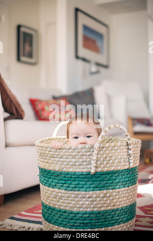 Baby sitting in basket Stock Photo