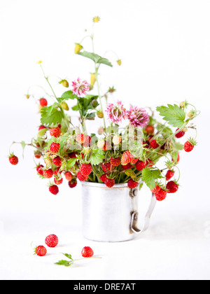 Bouquet of wild strawberries on white background Stock Photo