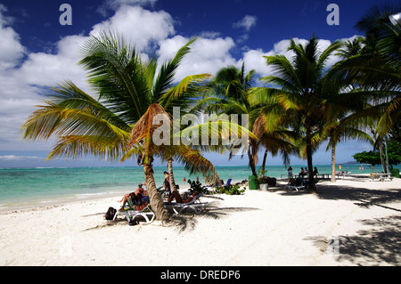 Pigeon Point Heritage Park, Tobago Stock Photo